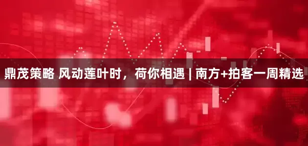 鼎茂策略 风动莲叶时，荷你相遇 | 南方+拍客一周精选