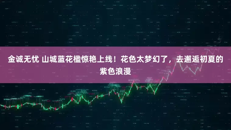 金诚无忧 山城蓝花楹惊艳上线！花色太梦幻了，去邂逅初夏的紫色浪漫