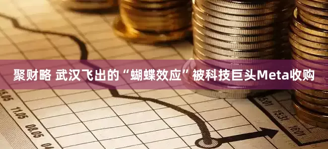 聚财略 武汉飞出的“蝴蝶效应”被科技巨头Meta收购