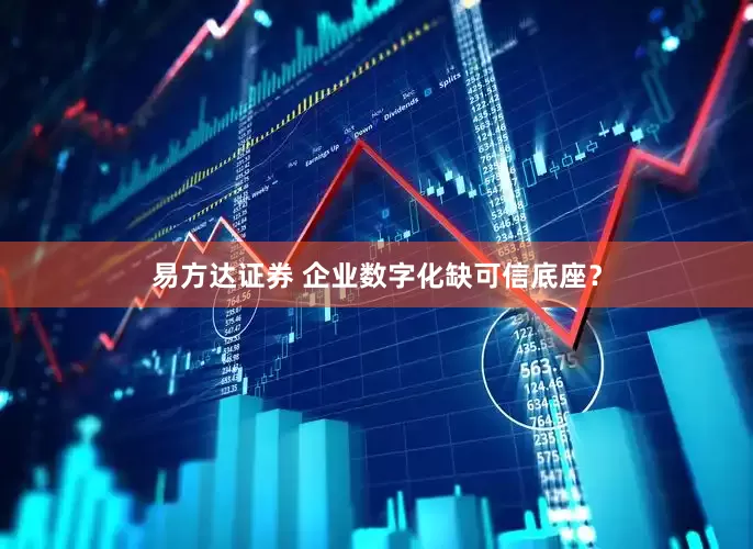 易方达证券 企业数字化缺可信底座？